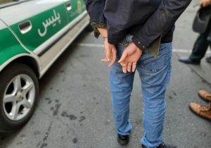 بساط دزدی از باغات ابهر در تاریکی شب بر چیده شد