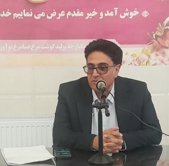 تولید خوراک باکیفیت، گامی مؤثر در عرضه مرغ سالم به بازار