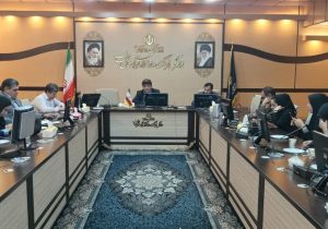از سینمای کمدی متناسب با فرهنگ ایرانی فاصله گرفته‌ایم