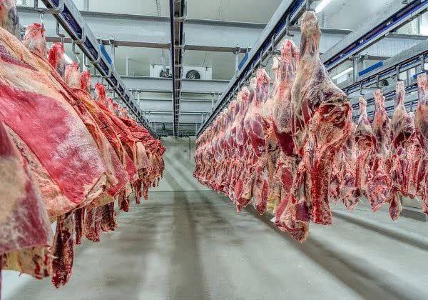 انهدام باند توزیع گوشت غیر مجاز در ابهر