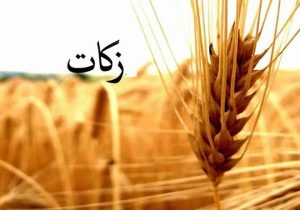 اختصاص ۳۸۶ میلیارد تومان برای اشتغال‌زایی مددجویان زنجانی
