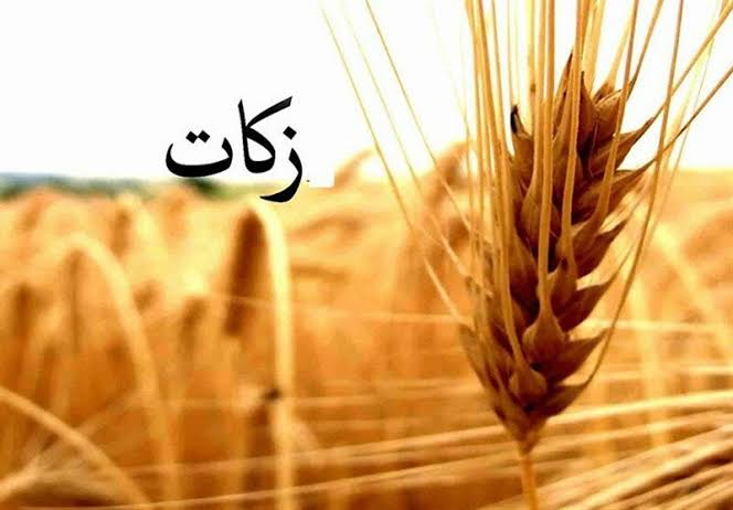 اختصاص ۳۸۶ میلیارد تومان برای اشتغال‌زایی مددجویان زنجانی