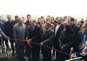 باغ مدرن گردو و طرح مکانیزه شیر دوشی روتاری در کشت و صنعت خرم‌دره افتتاح شد