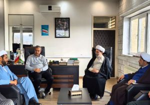 اوقاف آماده کاشت صنوبر در اراضی استان زنجان است