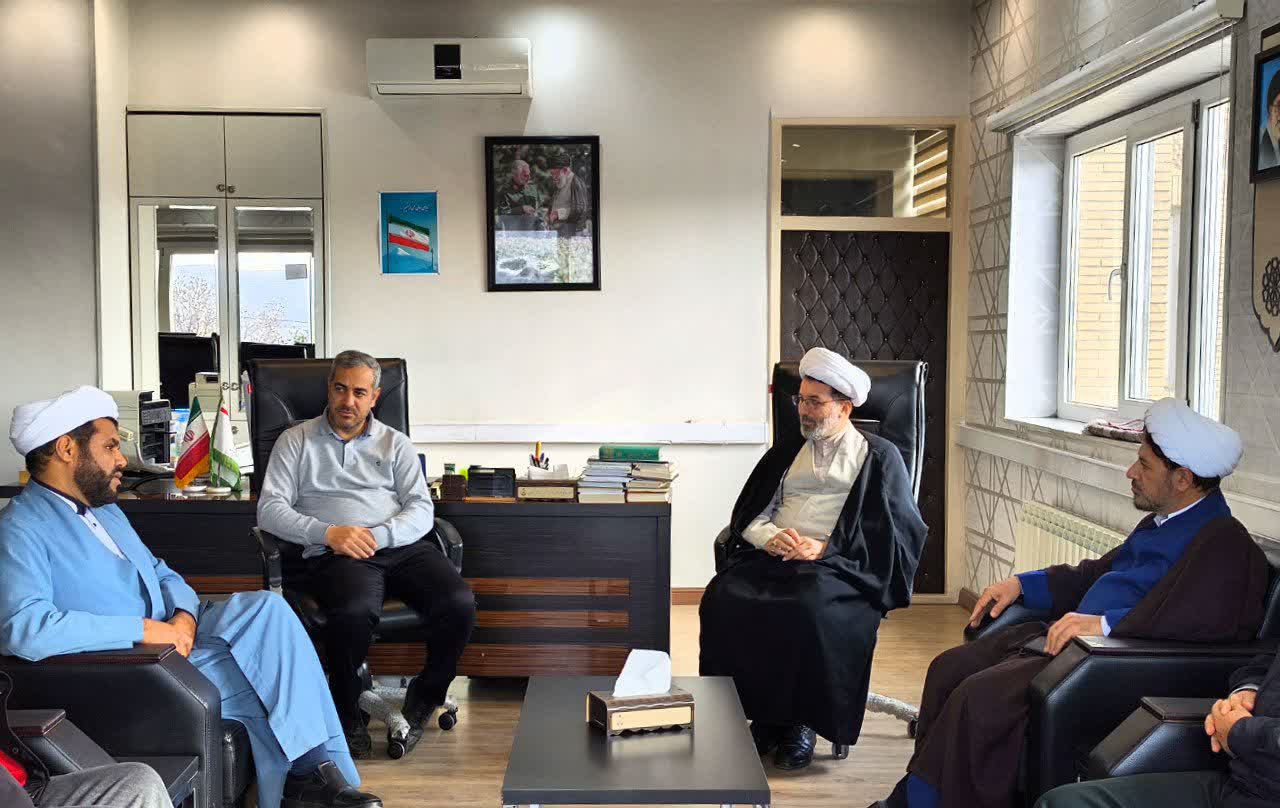 اوقاف آماده کاشت صنوبر در اراضی استان زنجان است