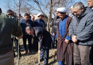 کاشت یک میلیون و ۵۰۰ هزار اصله نهال در استان زنجان همزمان با هفته منابع طبیعی