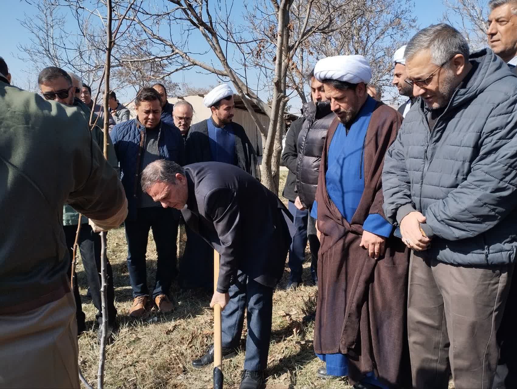 کاشت یک میلیون و ۵۰۰ هزار اصله نهال در استان زنجان همزمان با هفته منابع طبیعی