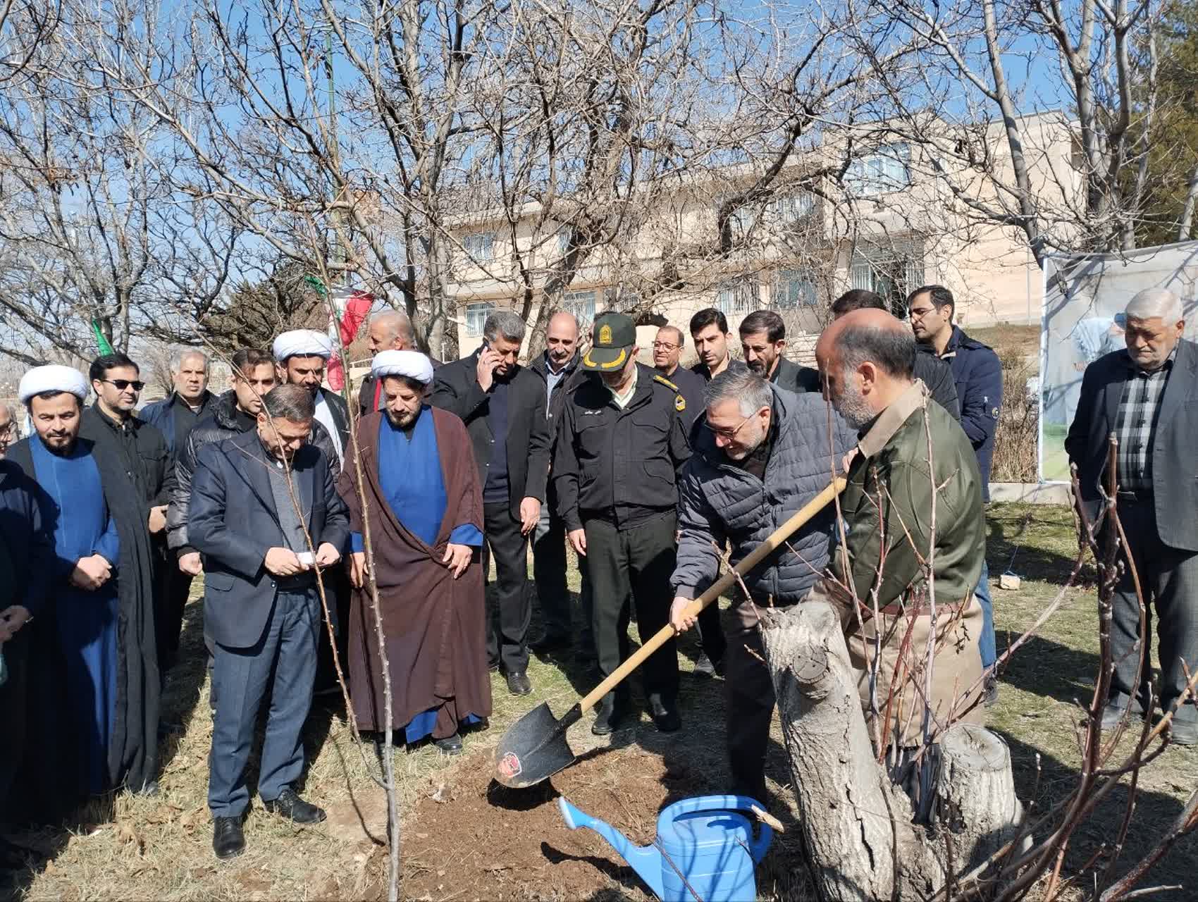آغاز پویش ملی درختکاری “سرو ایران” در زنجان
