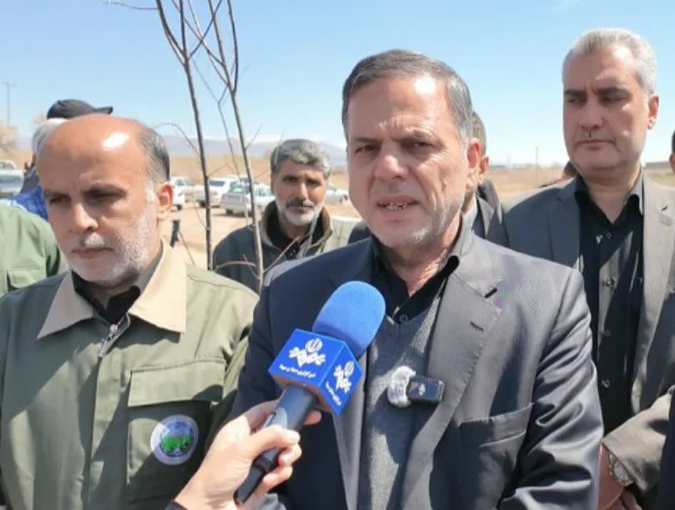 زنجان در روز طبیعت؛ غرس نهال در راستای پویش ملی سرو ایران