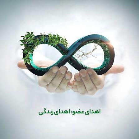 اهدای عضو؛ حماسه‌ی سخاوت و فرصت زندگی دوباره⁄ زنجان پیشگام در ایثار و پیوند